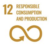 SDG 12 - Verantwortungsvoll konsumieren und produzieren