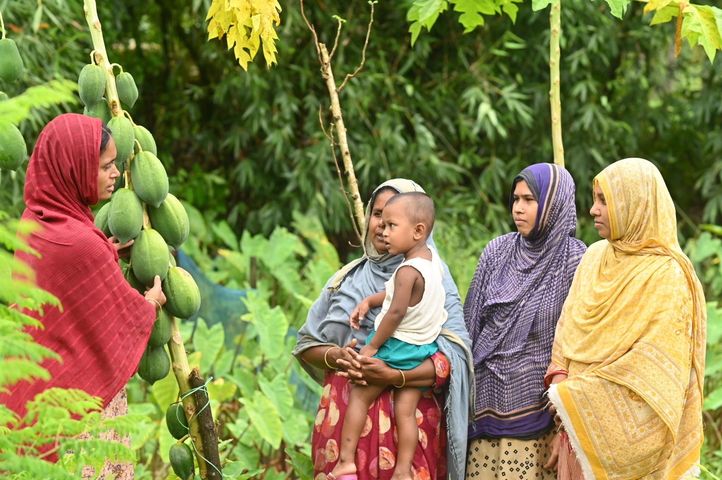 Projektbeschreibung_JANO