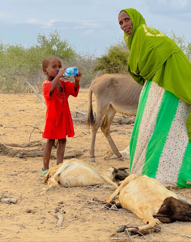 Frau mit Kind, Somalia, Dürre
