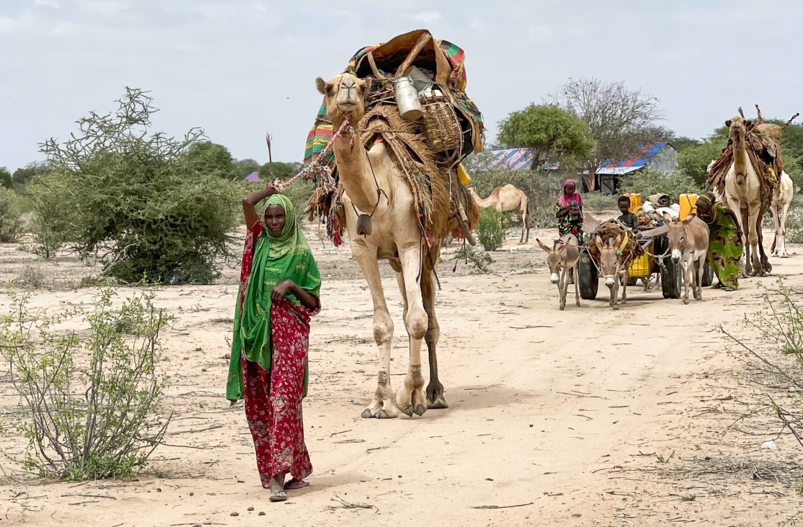 Frauen und Kinder, Karawane, Somalia