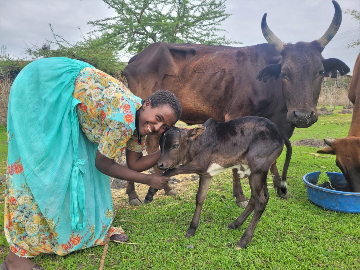 Fenta mit ihren Kühen, Äthiopien