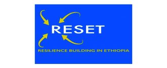 Logo für RESET.