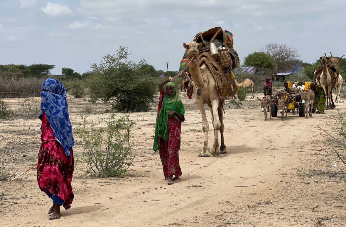 Wetterextreme wegen der Klimakrise machen in Somalia immer mehr Menschen zu Vertriebenen im eigenen Land.