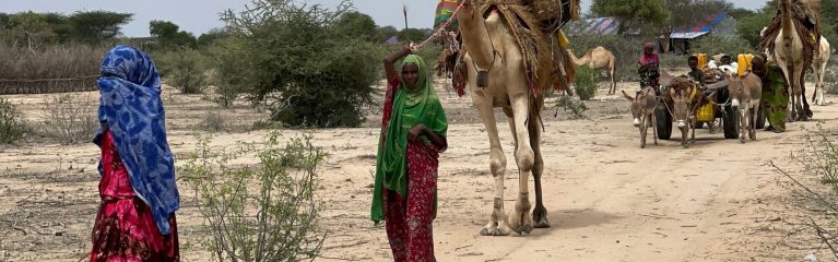 Wetterextreme wegen der Klimakrise machen in Somalia immer mehr Menschen zu Vertriebenen im eigenen Land.