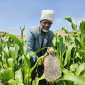 Tigray, 2024: Kalayu arbeitet im Feld.