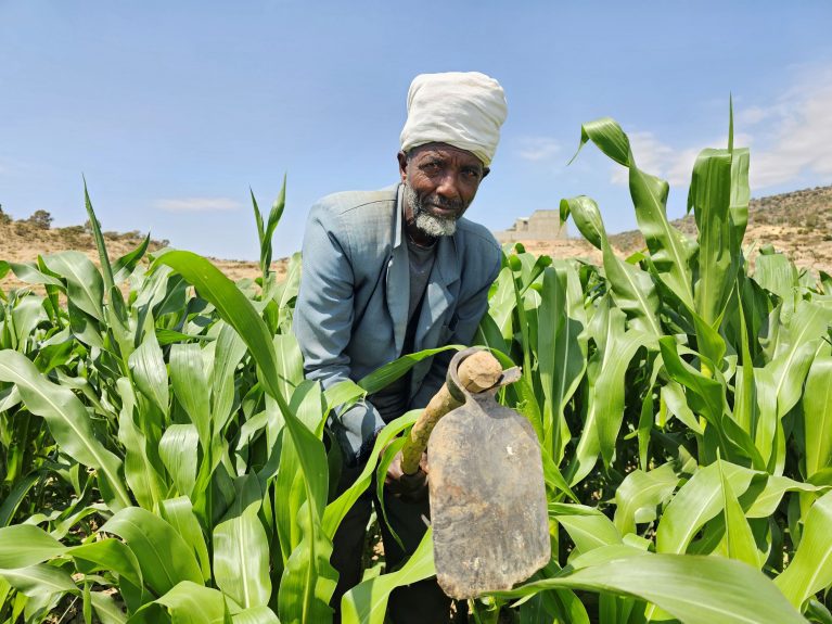 Tigray, 2024: Kalayu arbeitet im Feld.