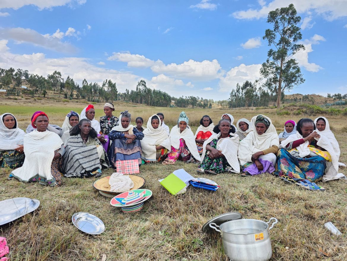 Women Lead in Emergencies-Gruppe in Tigray