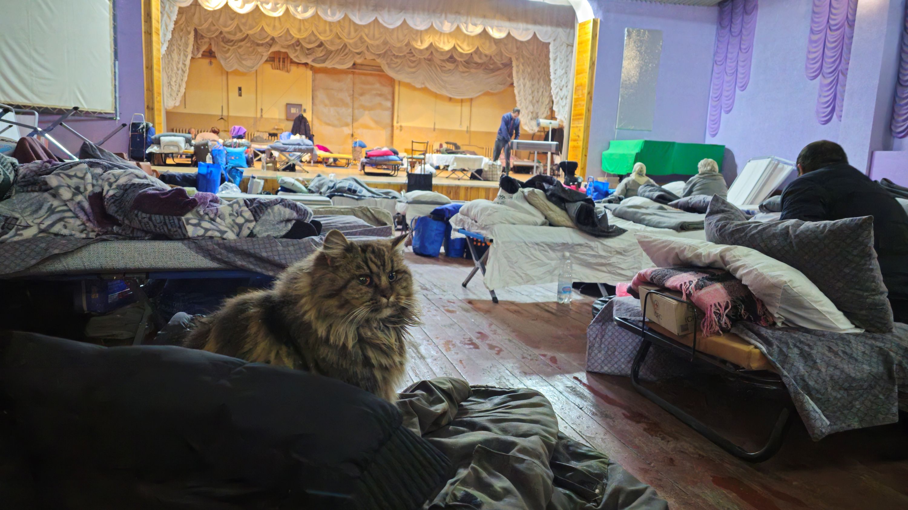 Ukraine2025Katze