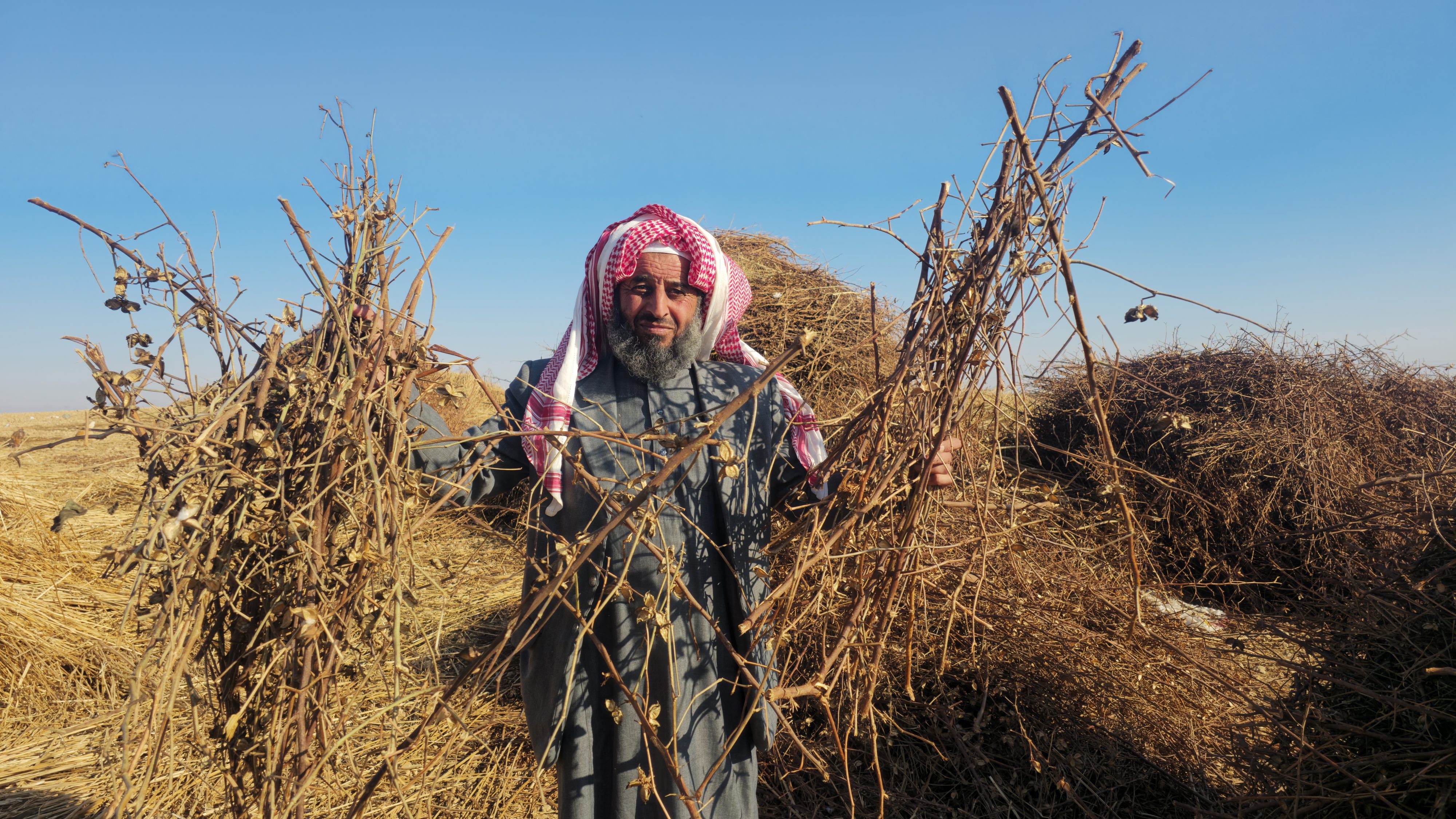 2025_Syrien_Hammoud_Holz