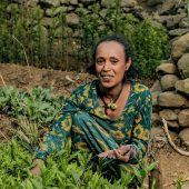 Abeba Alemineh sitzt zwischen grünen Gemüsepflanzen in einem kleinen Feld vor einer Trockenmauer und pflegt den nachhaltigen Gemüseanbau.