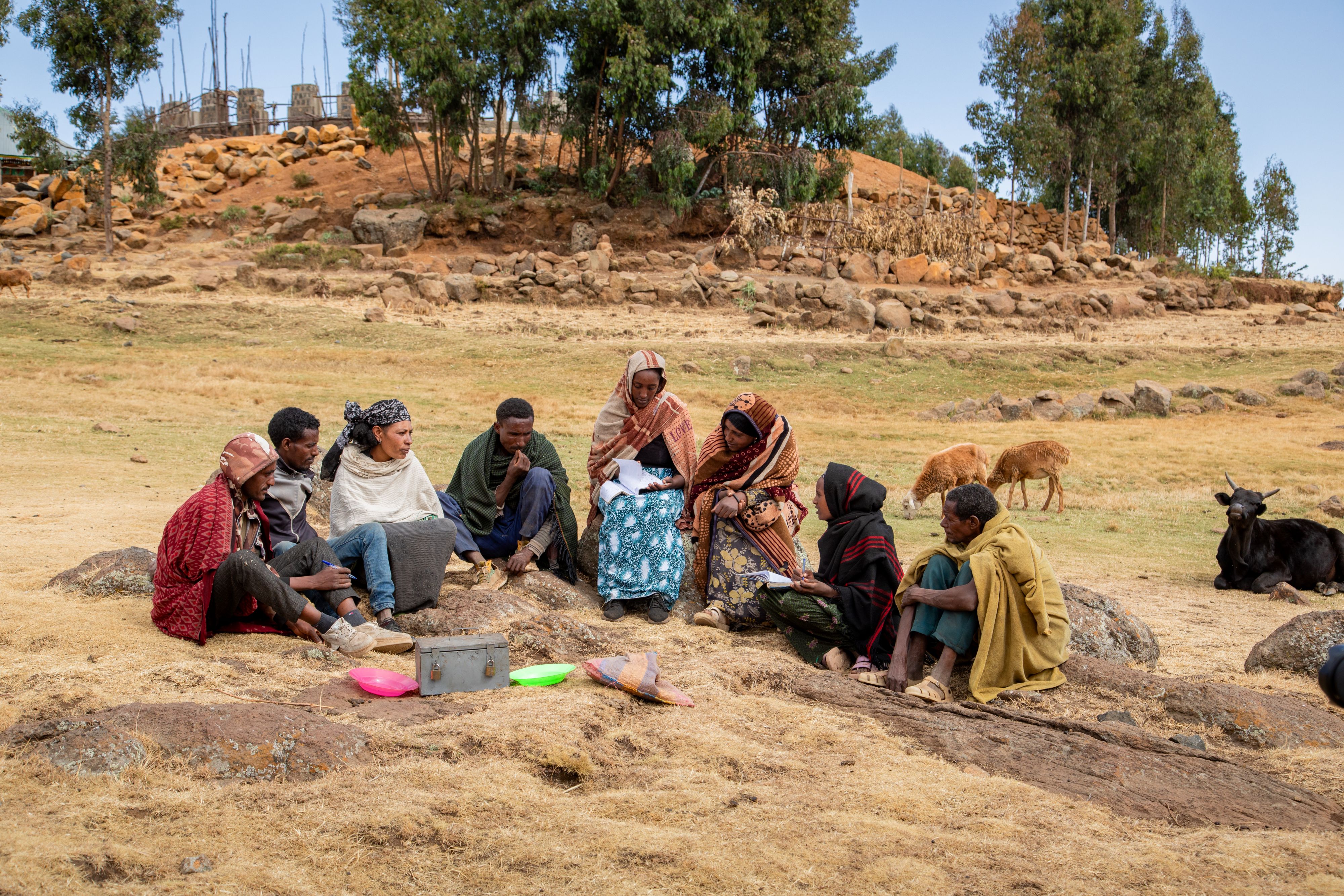 EthioCAREGruppe